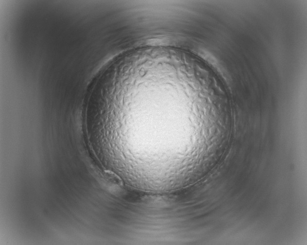 X0000071910297200607212049