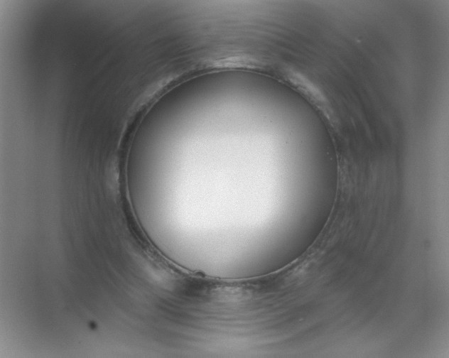 X0000071910298200607212049