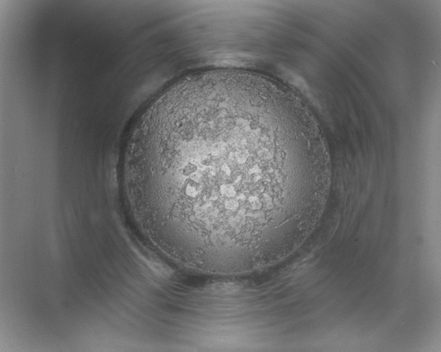 X0000071910299200607212049