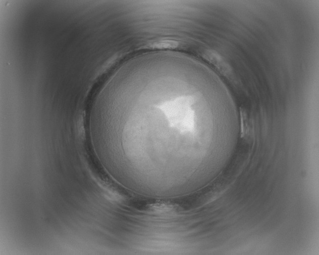 X0000071910300200607212049