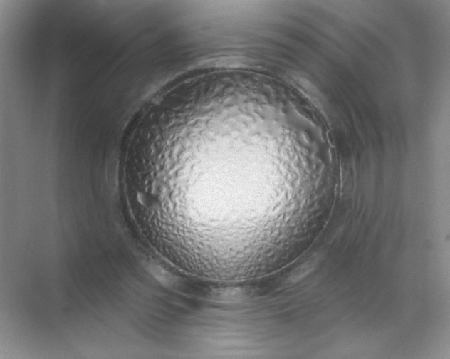 X0000071910301200607212049