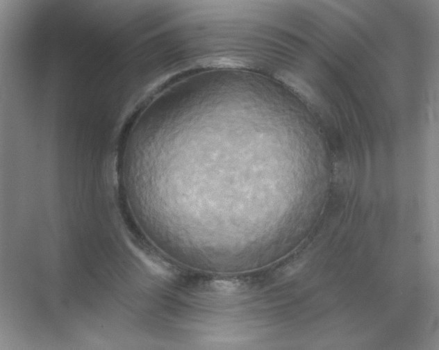 X0000071910302200607212049