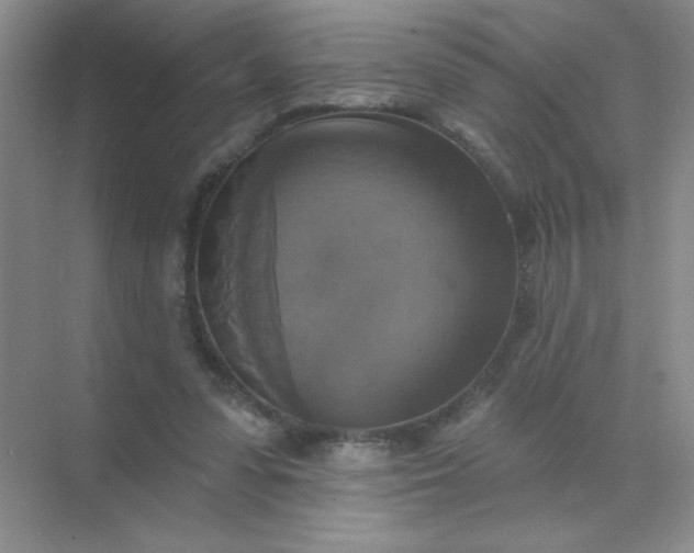 X0000071910303200607212049