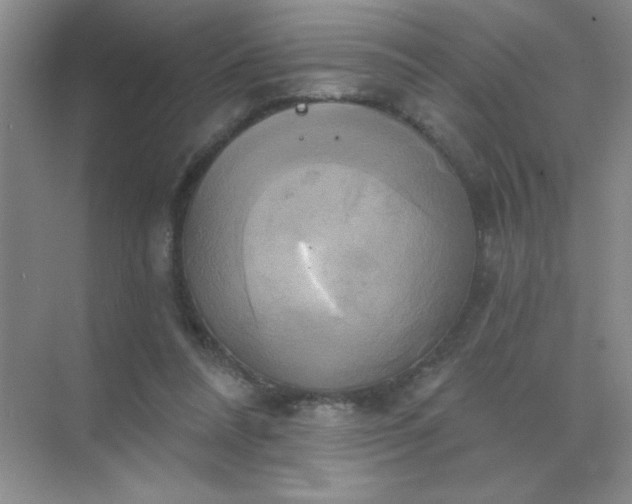 X0000071910304200607212049