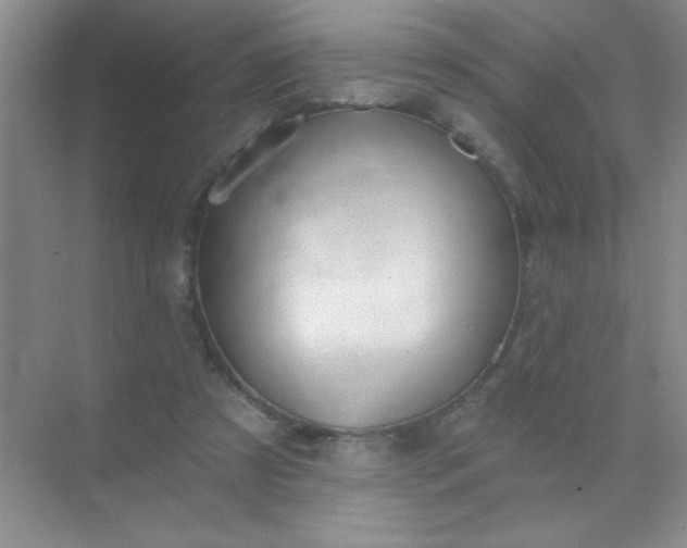 X0000071910305200607212049