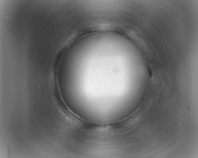 X0000071910306200607212049