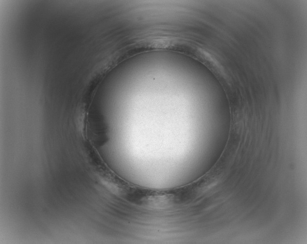 X0000071910307200607212049