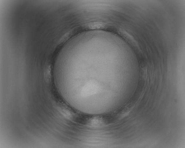 X0000071910308200607212049