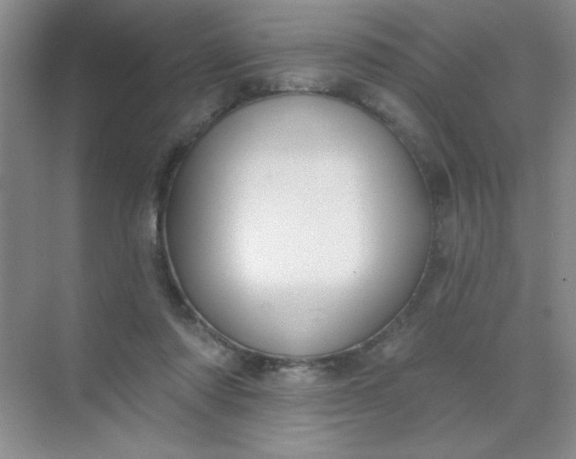 X0000071910310200607212049