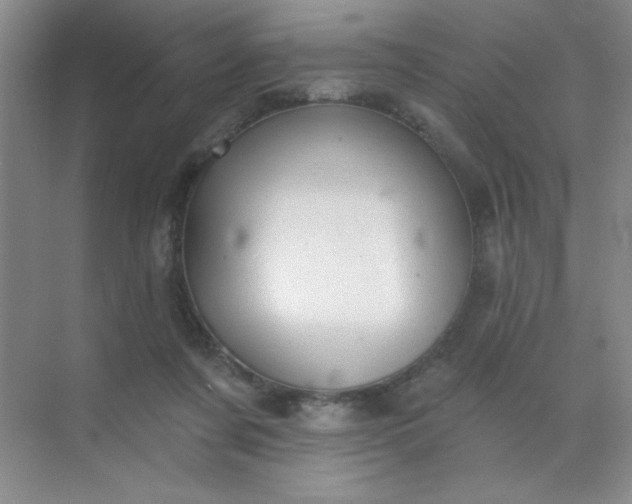 X0000071910311200607212049