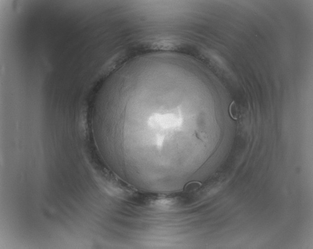 X0000071910312200607212049