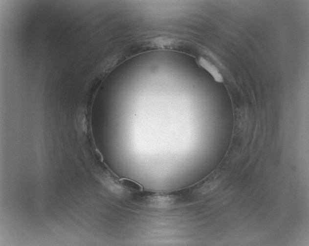 X0000071910313200607212049