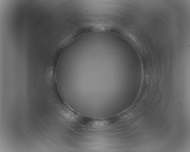 X0000071910314200607212049