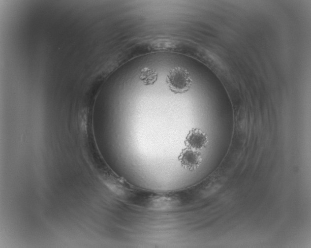 X0000071910315200607212049