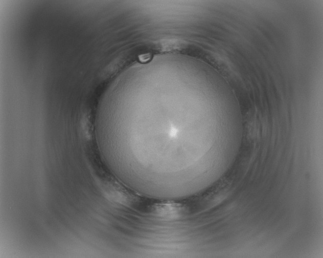 X0000071910316200607212049