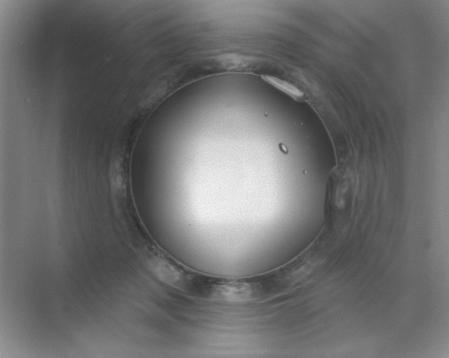 X0000071910317200607212049