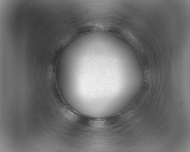 X0000071910318200607212049