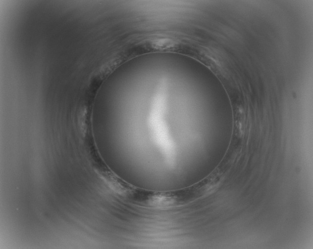 X0000071910319200607212049