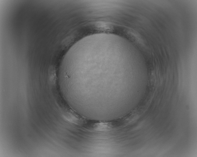 X0000071910320200607212049