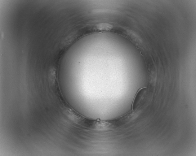 X0000071910321200607212049