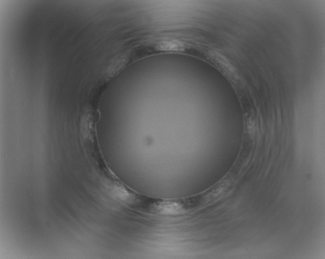 X0000071910322200607212049