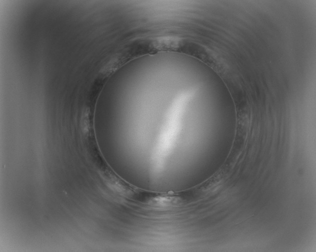 X0000071910323200607212049