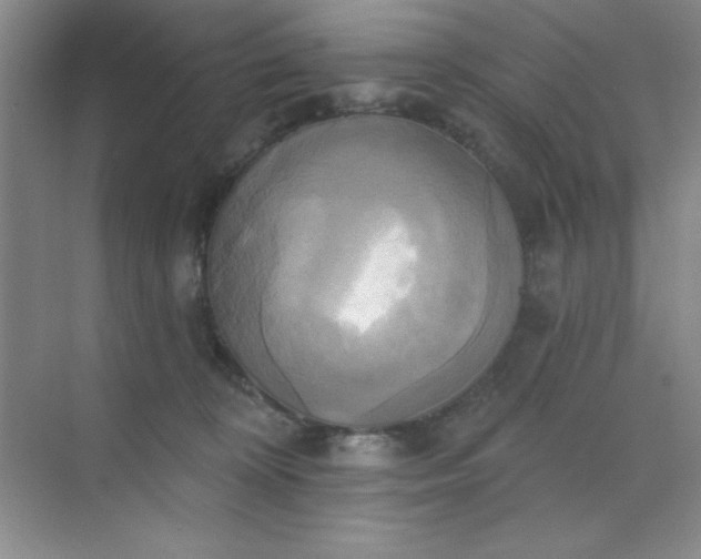 X0000071910324200607212049