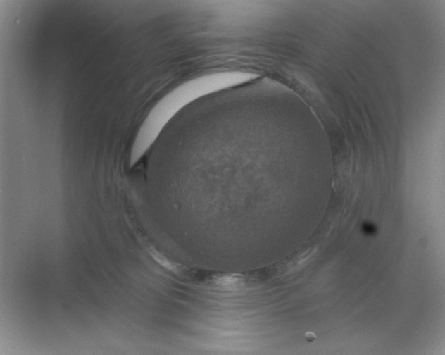 X0000071910325200607212049