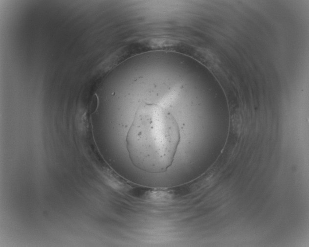 X0000071910327200607212049