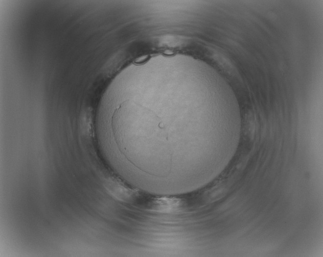 X0000071910328200607212049