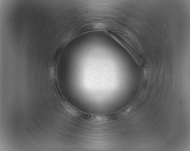 X0000071910329200607212049