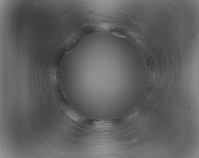 X0000071910331200607212049