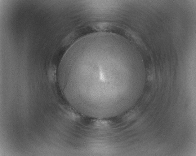 X0000071910332200607212049