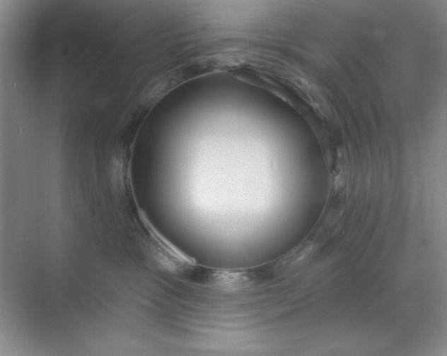 X0000071910333200607212049