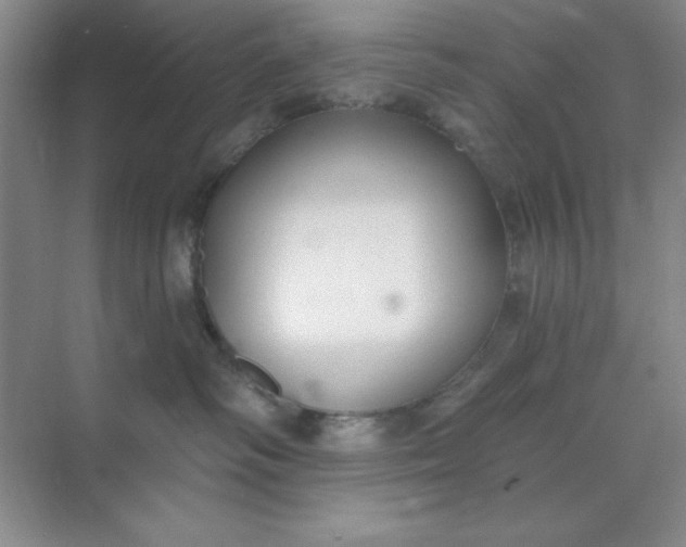 X0000071910334200607212049