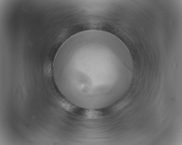 X0000071910336200607212049