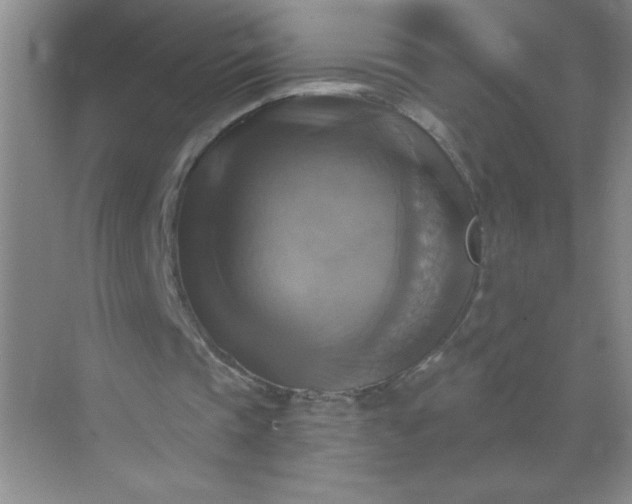 X0000071910337200607212048