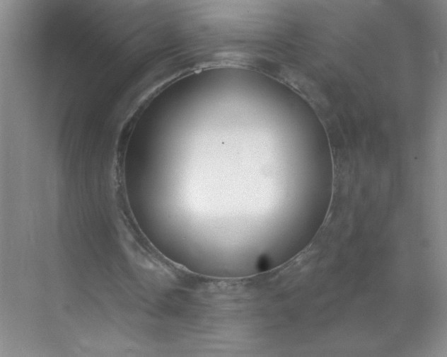 X0000071910338200607212048