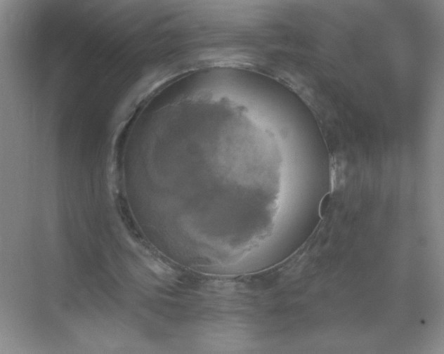 X0000071910339200607212048