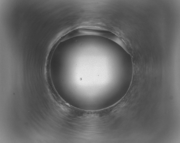 X0000071910340200607212048