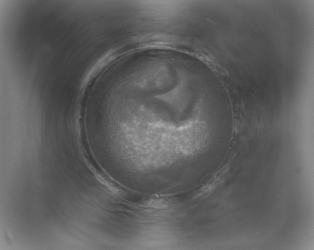 X0000071910341200607212048