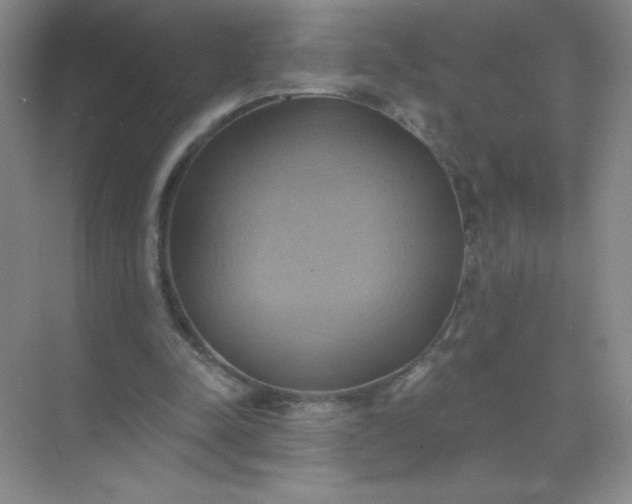 X0000071910342200607212048