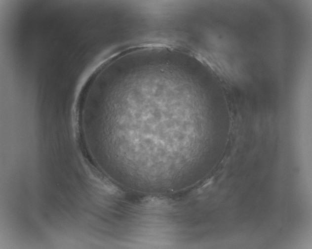 X0000071910343200607212048