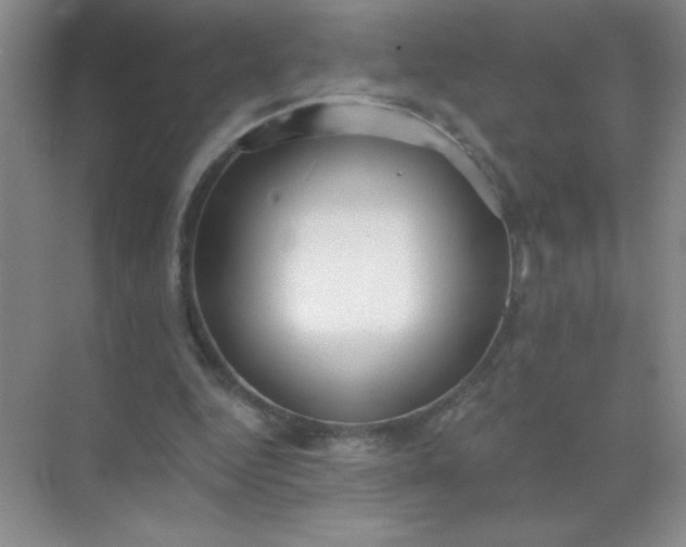 X0000071910344200607212048