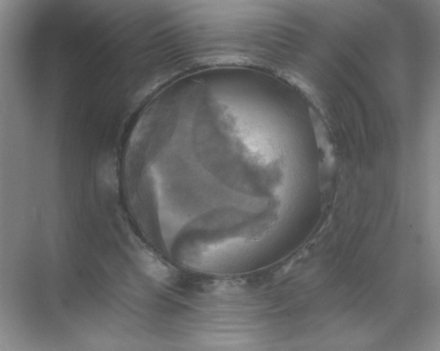 X0000071910345200607212048