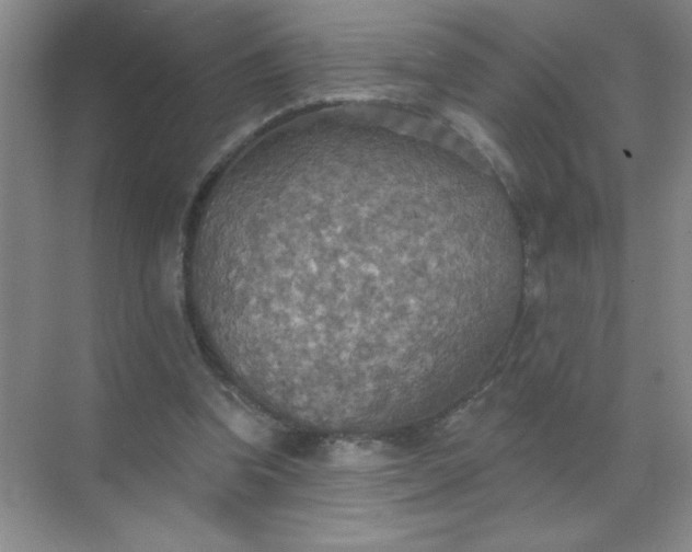 X0000071910346200607212048