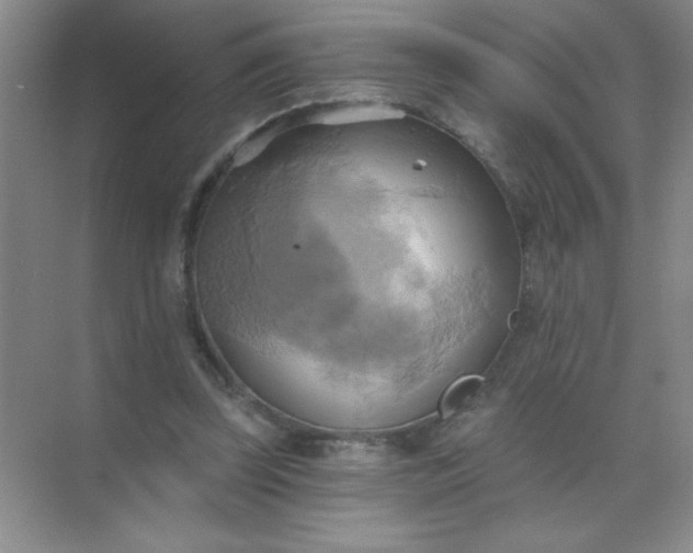 X0000071910347200607212048