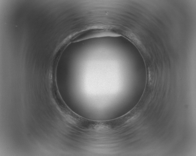 X0000071910348200607212048