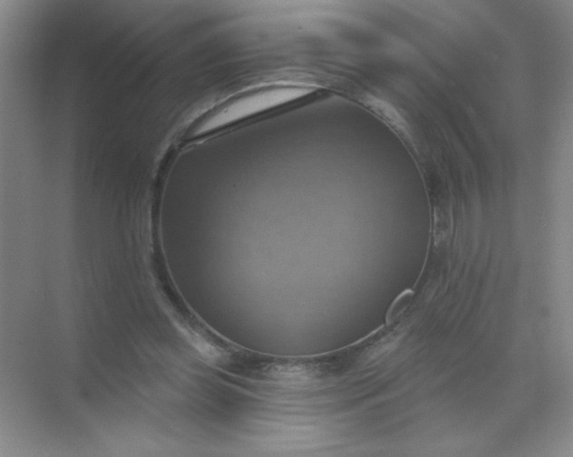 X0000071910349200607212048