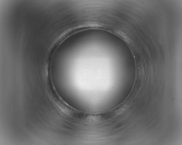 X0000071910350200607212048